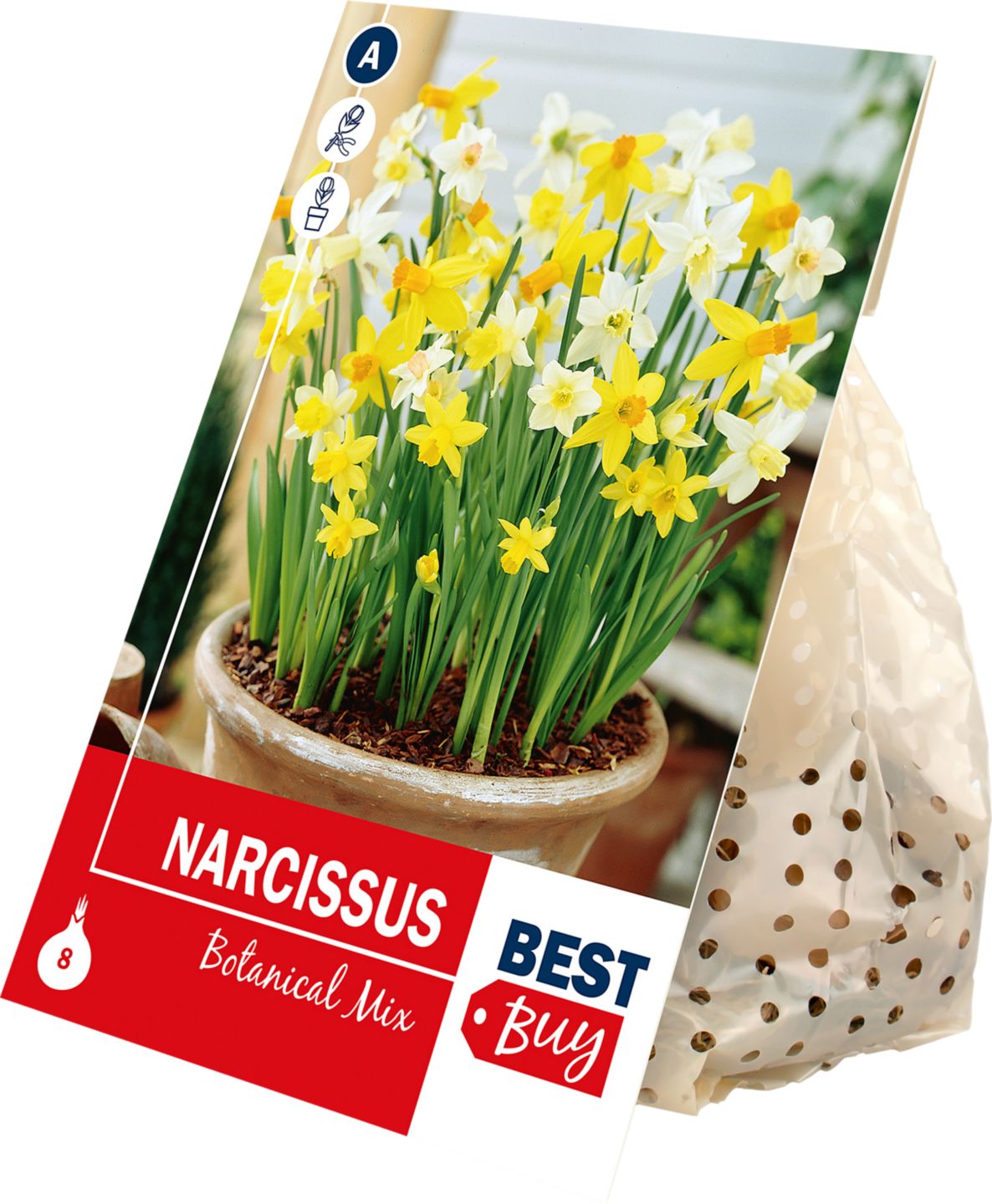 Narcis Botanical Mix, 8 ks 