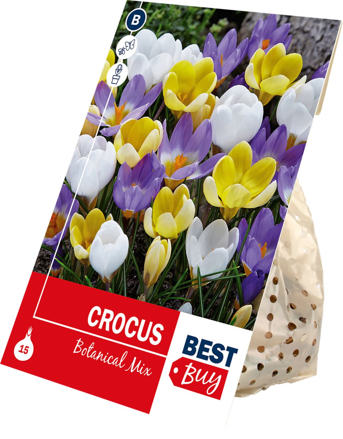 Krókus Botanical Mix, 15 ks 