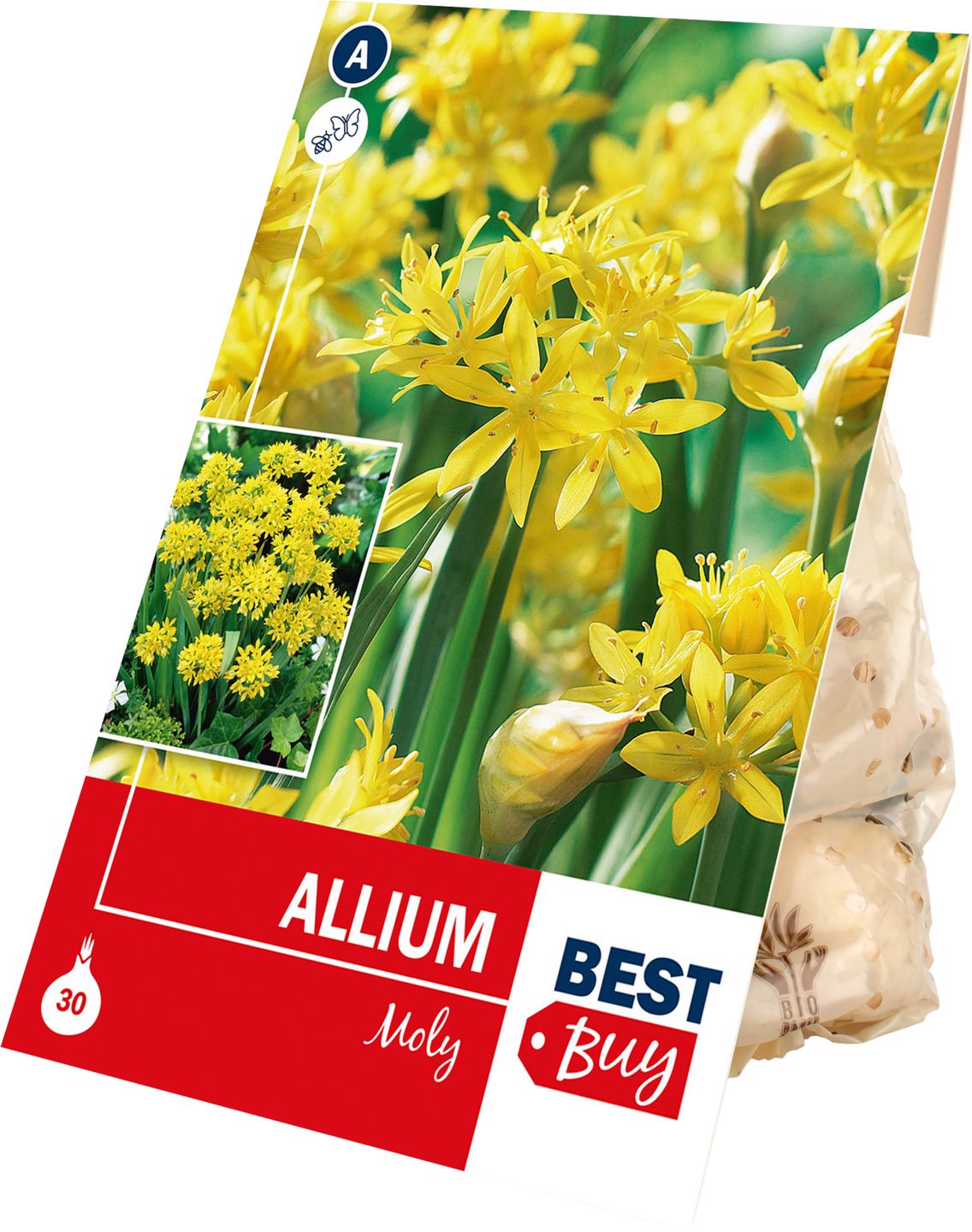 Cesnak Moly, 30 ks 