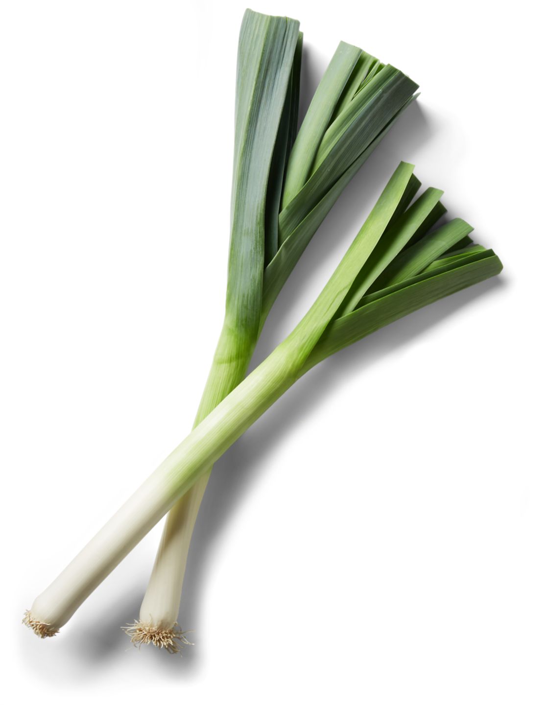 Pór 