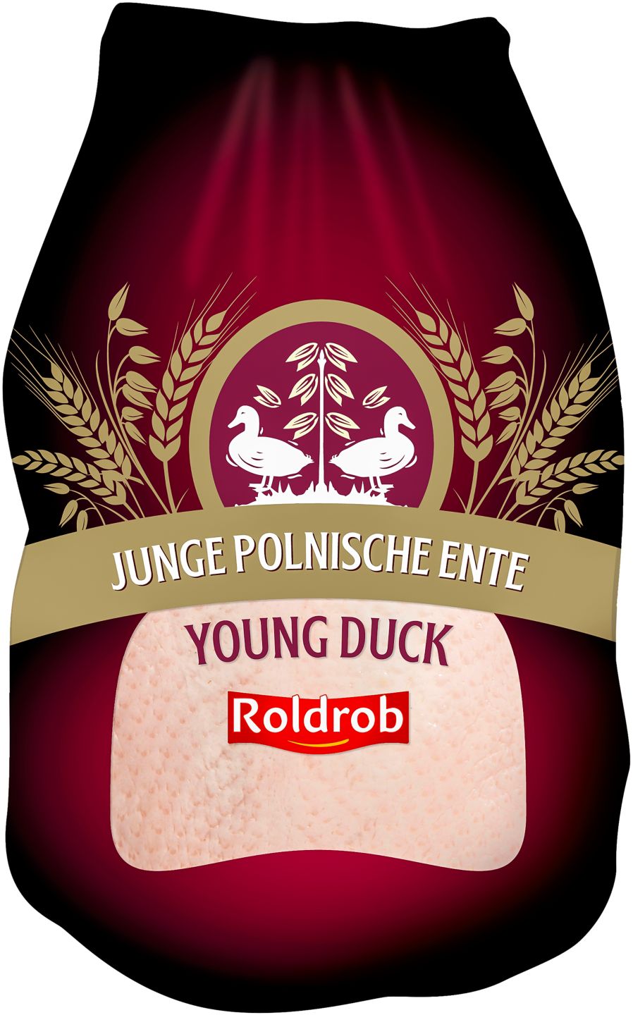 Junge poln. Ente