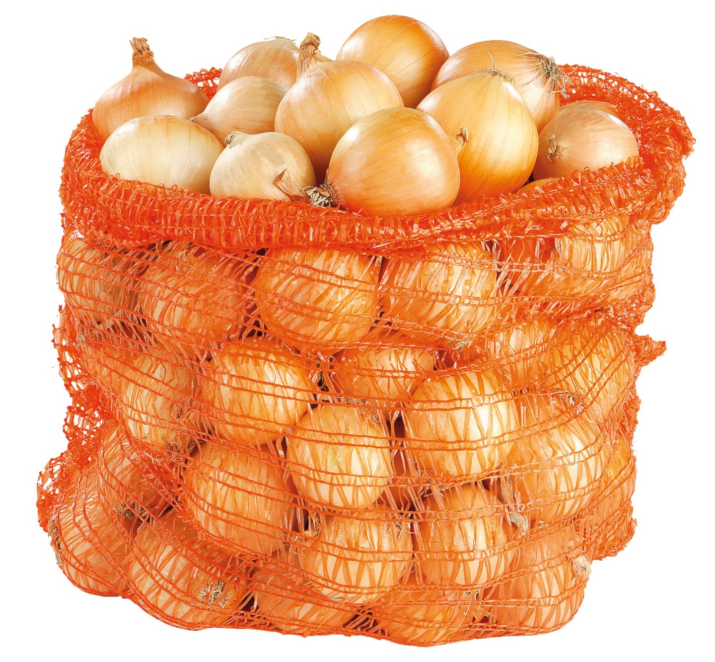 Лук жълт Клас: I