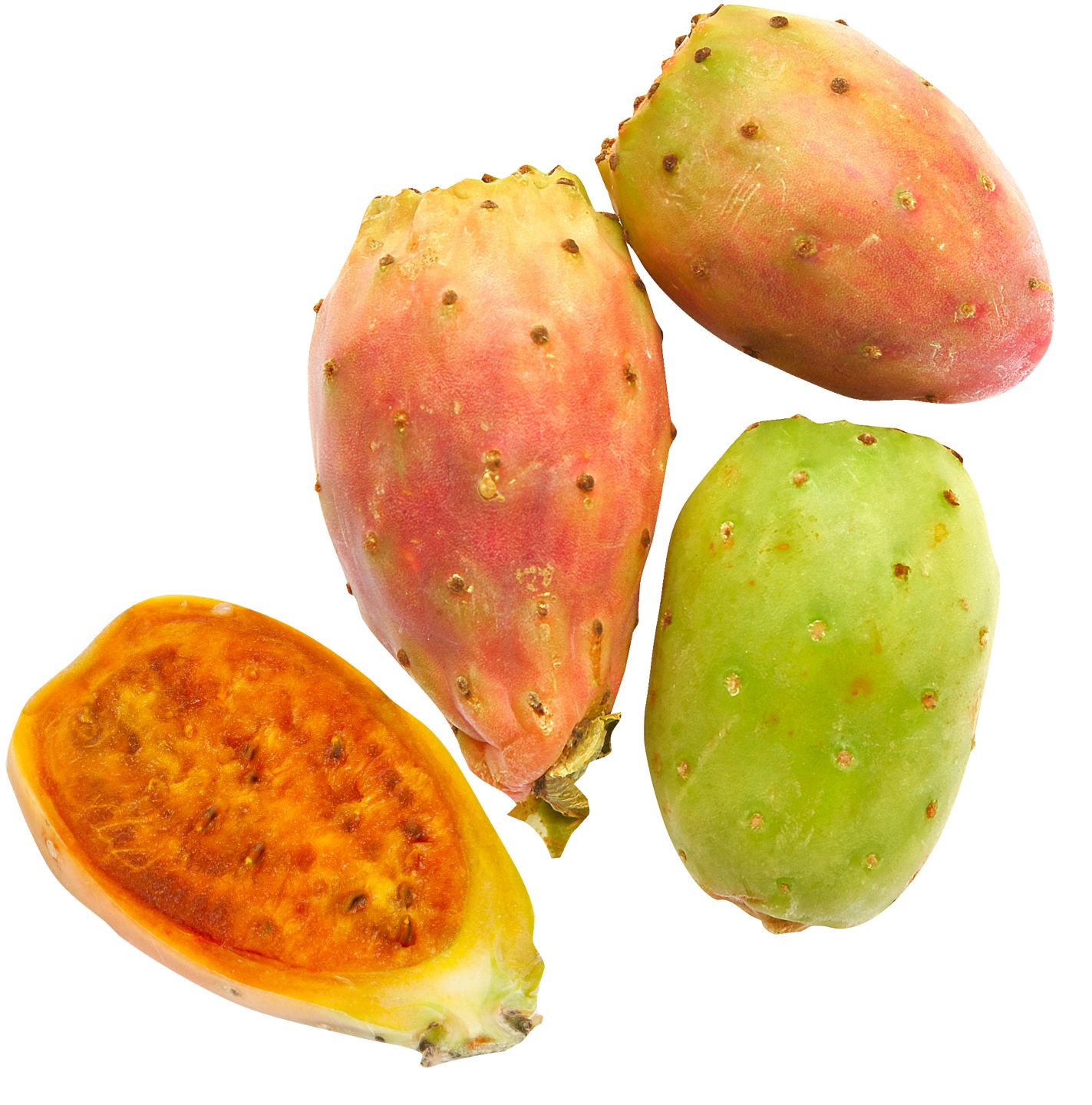 Kaktusové figy 
