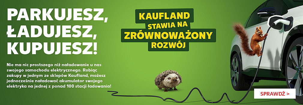 wiewiórka poidłączająca samochód elektryczny do ładowania