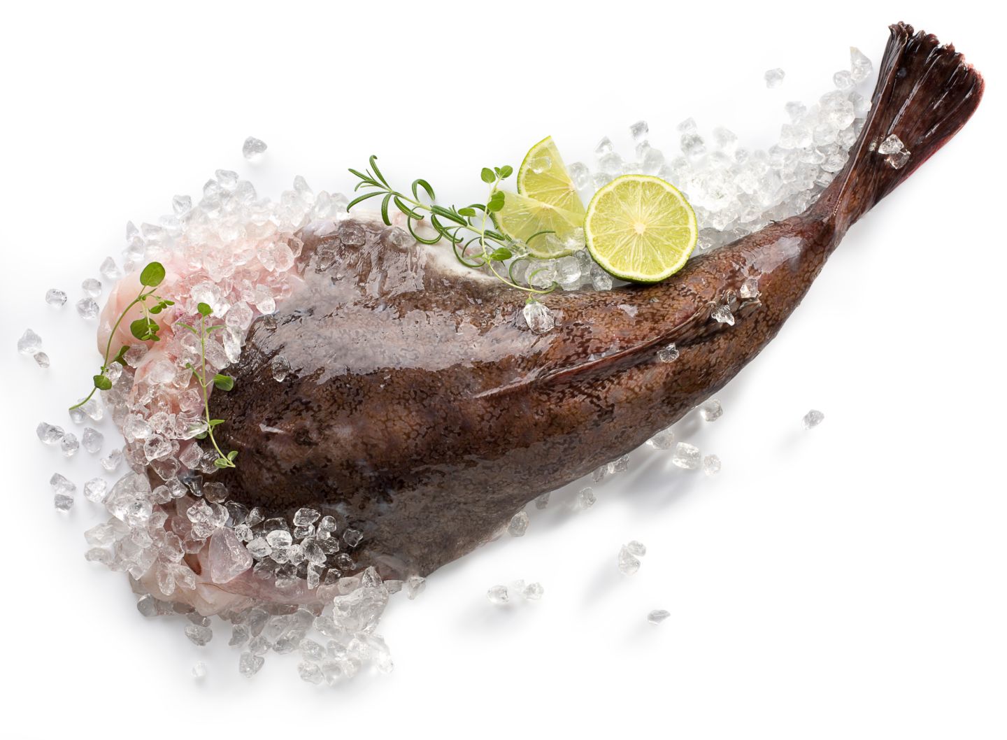 Изображение на Mорски дявол опашка от нашата витрина