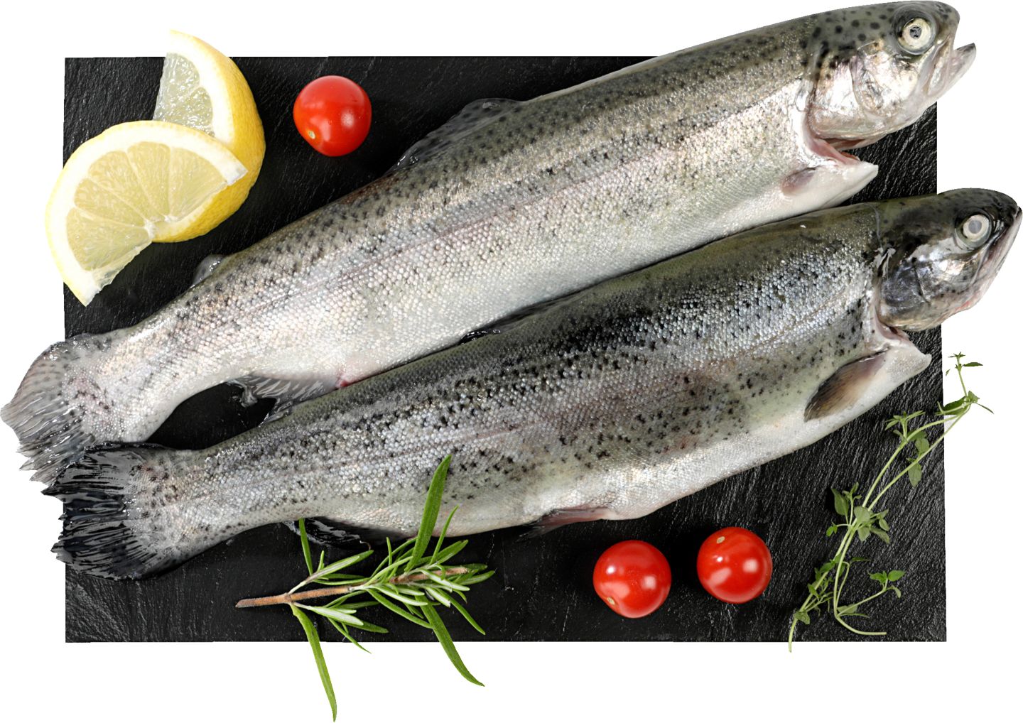 Pstruh (Oncorhynchus mykiss)
celý, chlazený, kuchaný