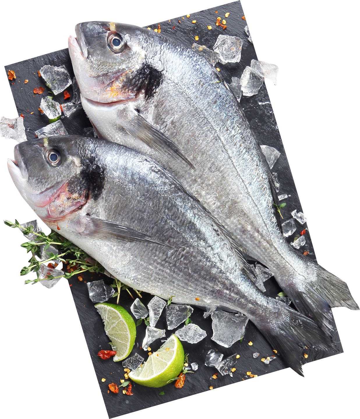 Pražma celá (Sparus aurata)
300 - 400 g