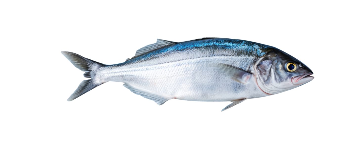 Изображение на Лефер пресен