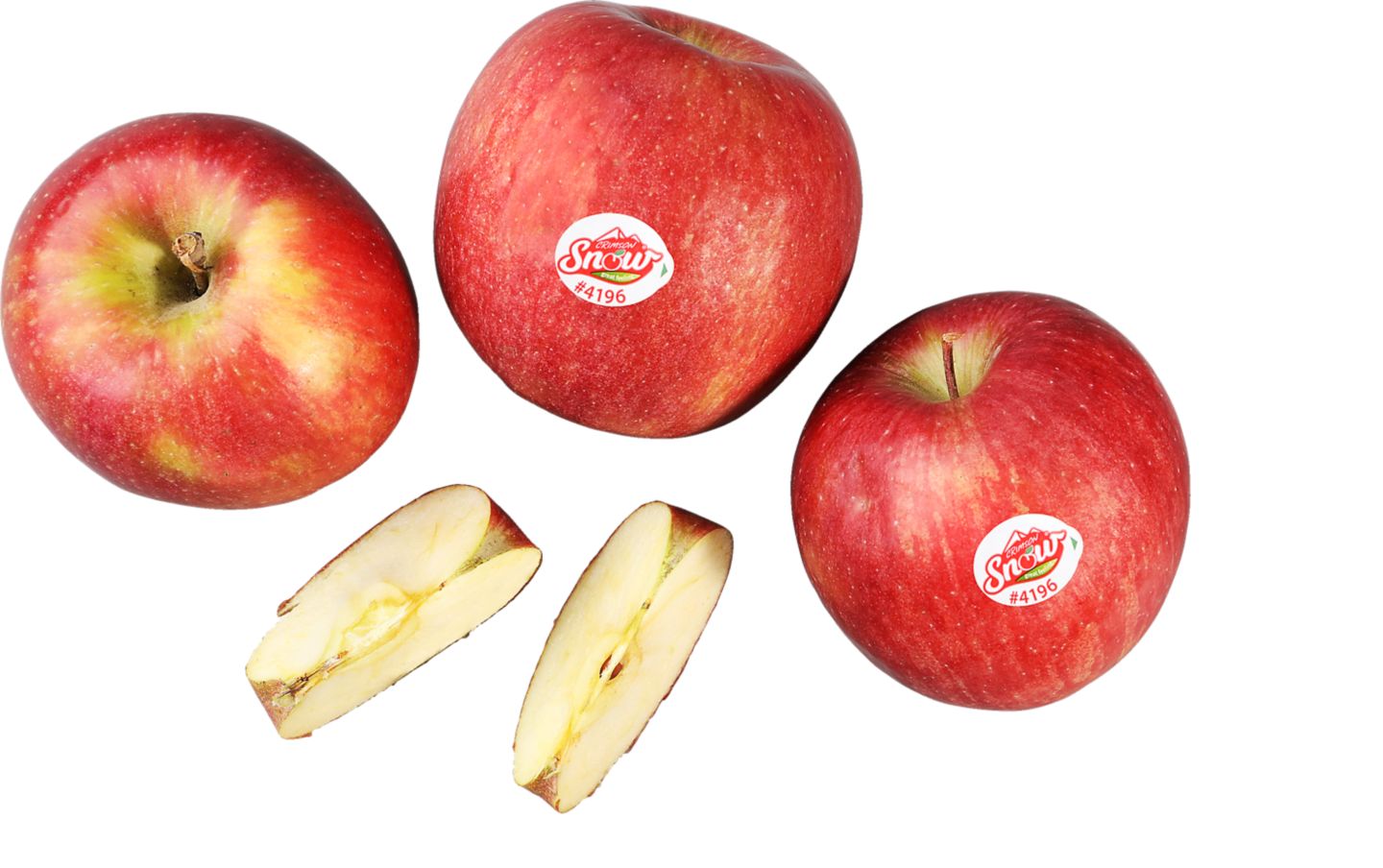 Jablko Crimson snow 