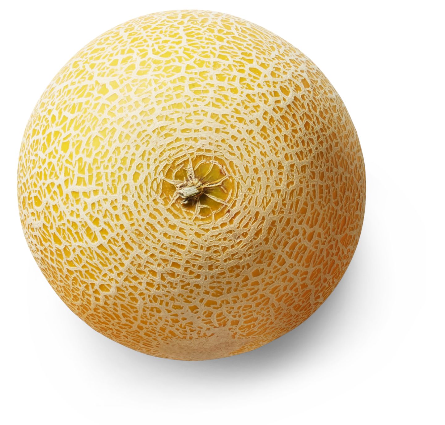 Melon Galia