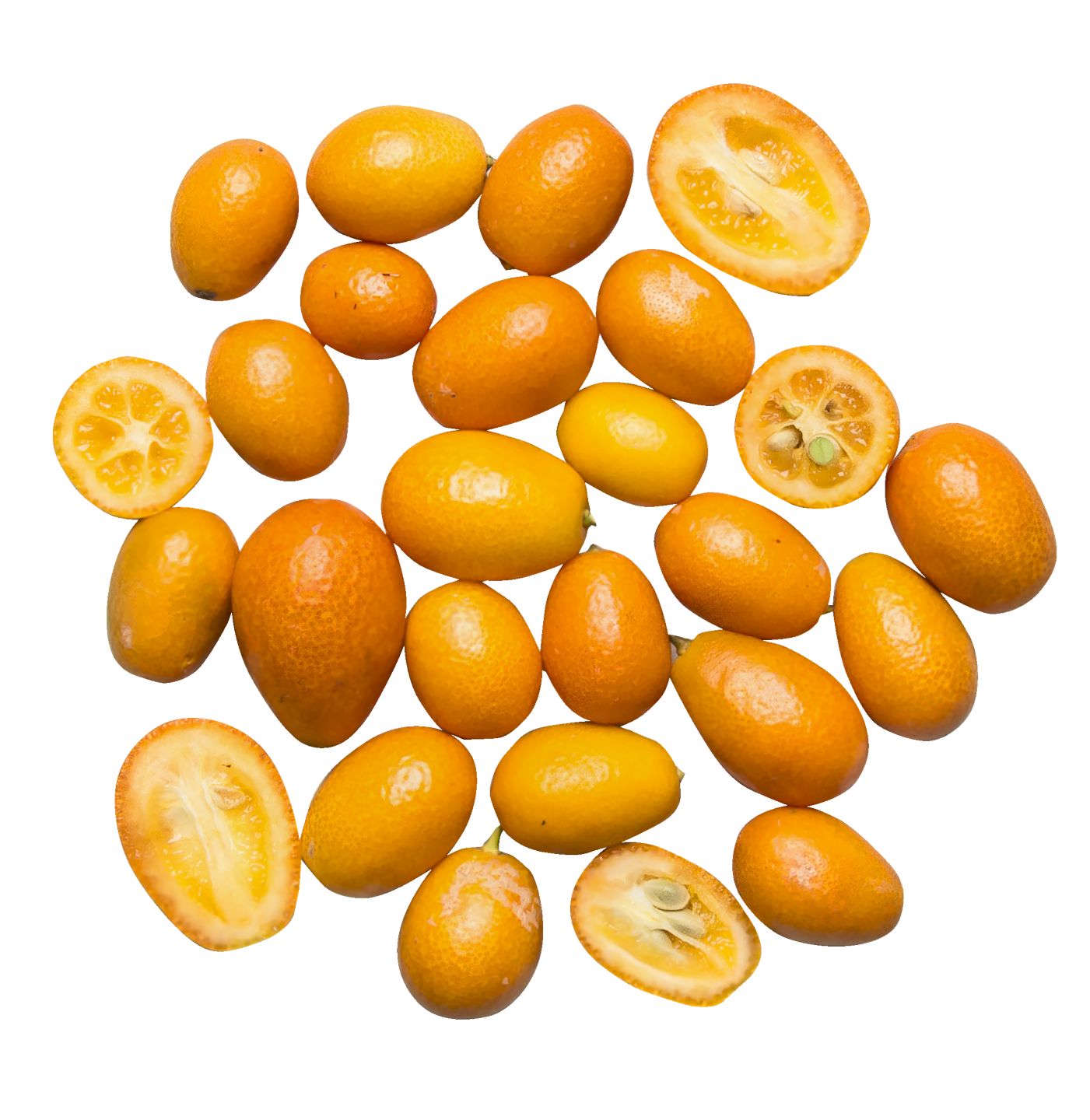 Kumquat 