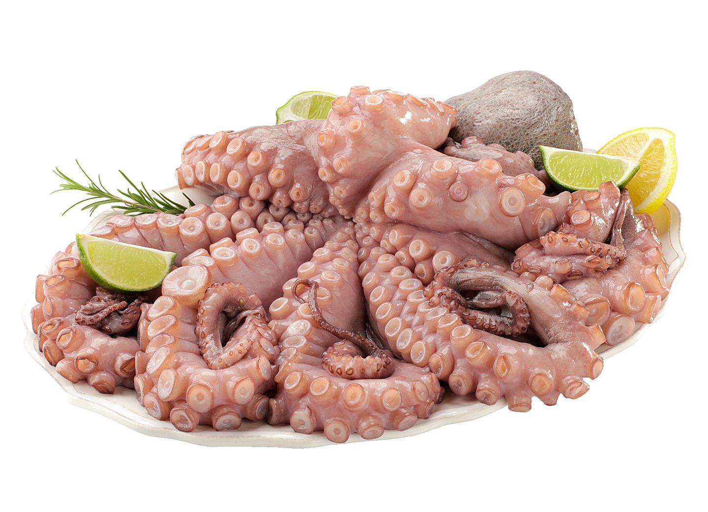 Изображение на Октопод от нашата витрина