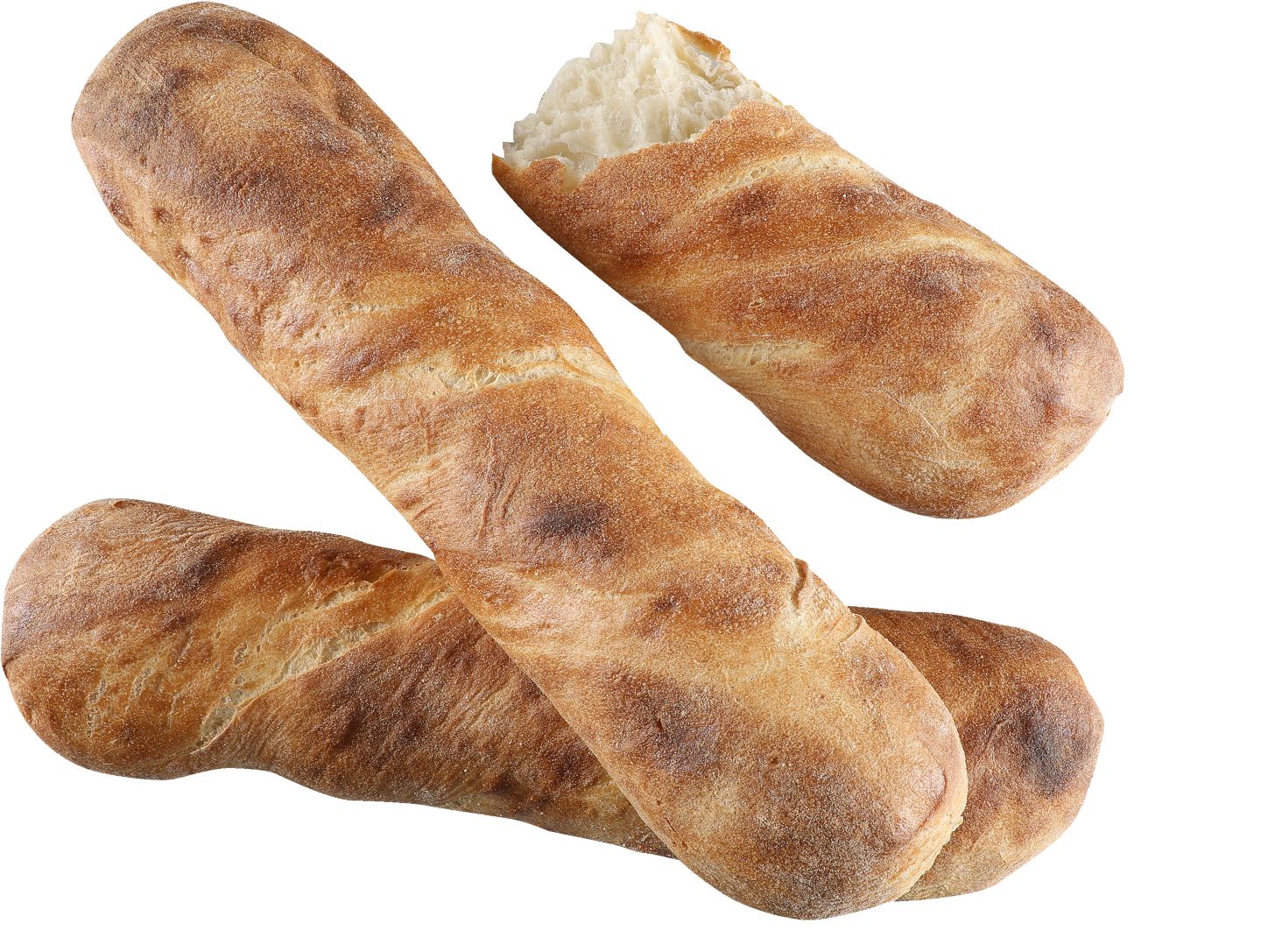 Bagetka koreňová, svetlá