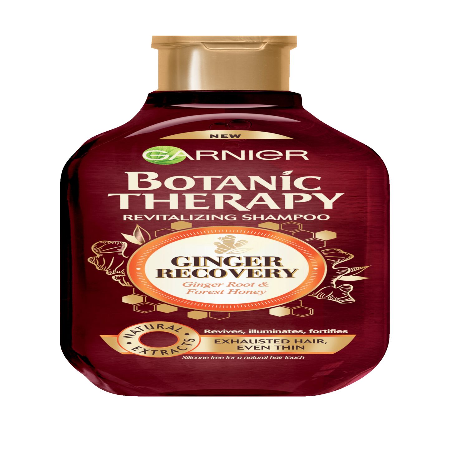 Изображение на Garnier Botanic Шампоан Ginger