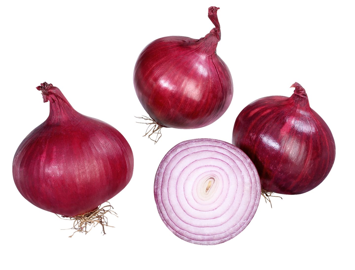 K-Bio Cibuľa červená