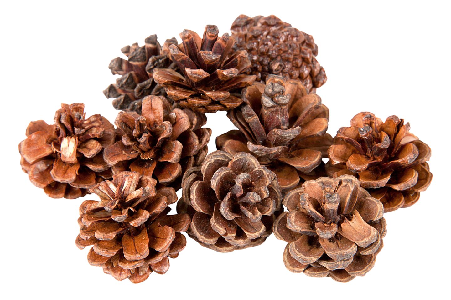 Изображение на Декорация 