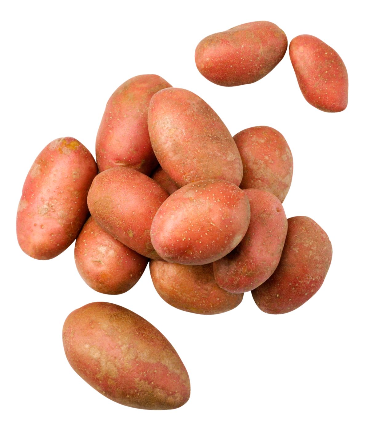 K-Jarmark Brambory červené konzumní pozdní
varný typ: A