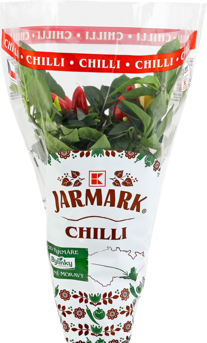 K-Jarmark Chilli v květináči