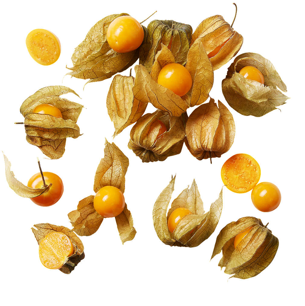 Zobrazenie výrobku Physalis 