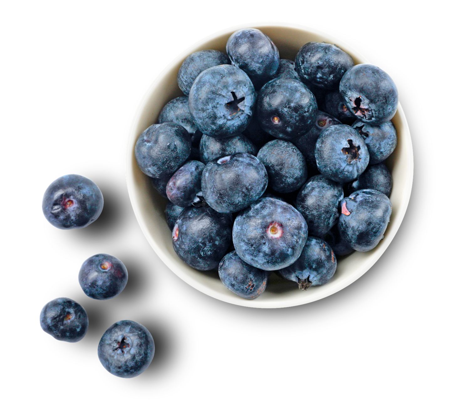 Borůvky balené - kanadské 