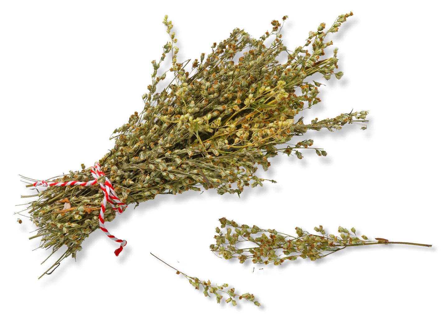 Bioland dtsch. Beifuss