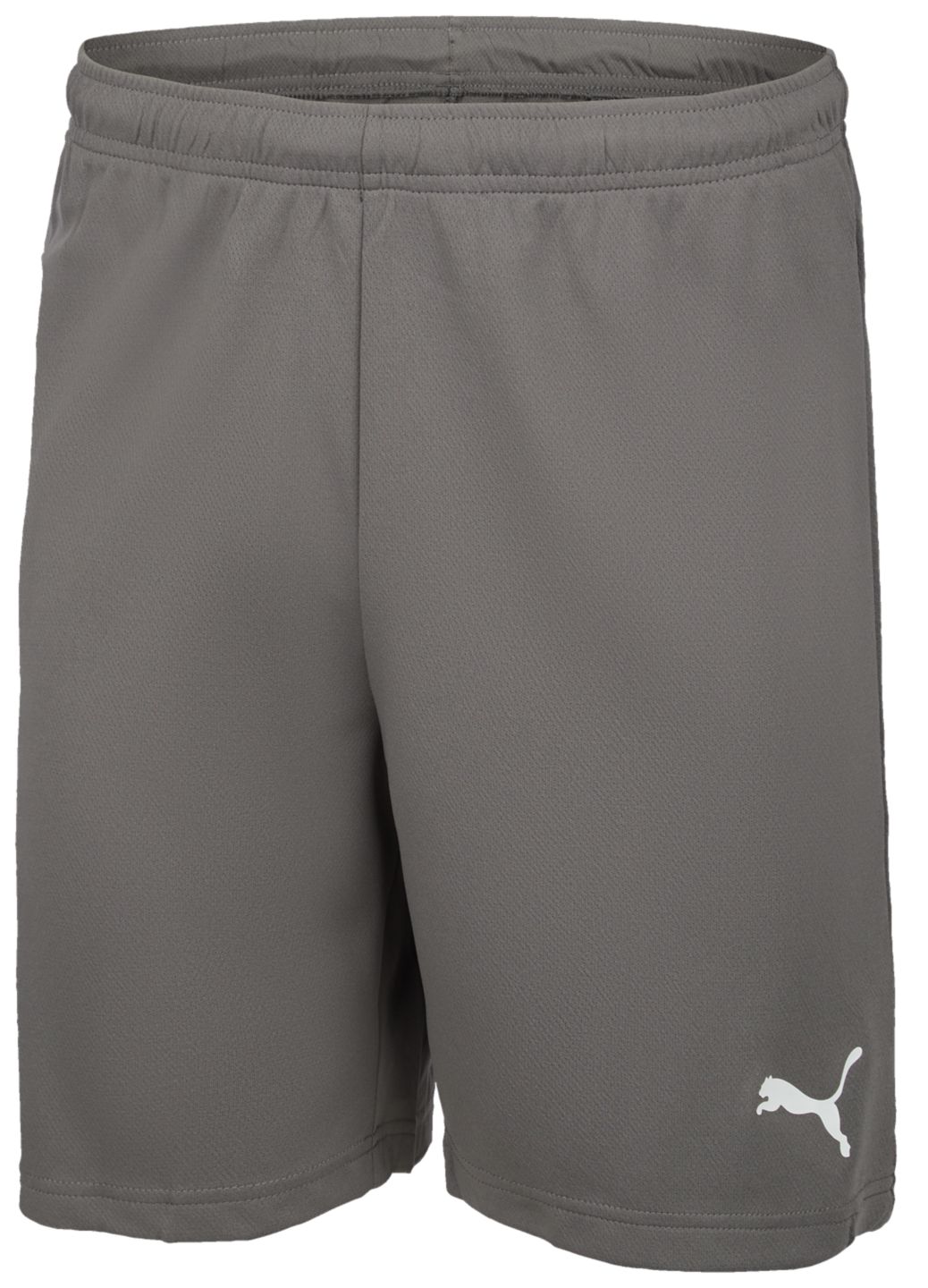 Puma Pánske funkčné šortky