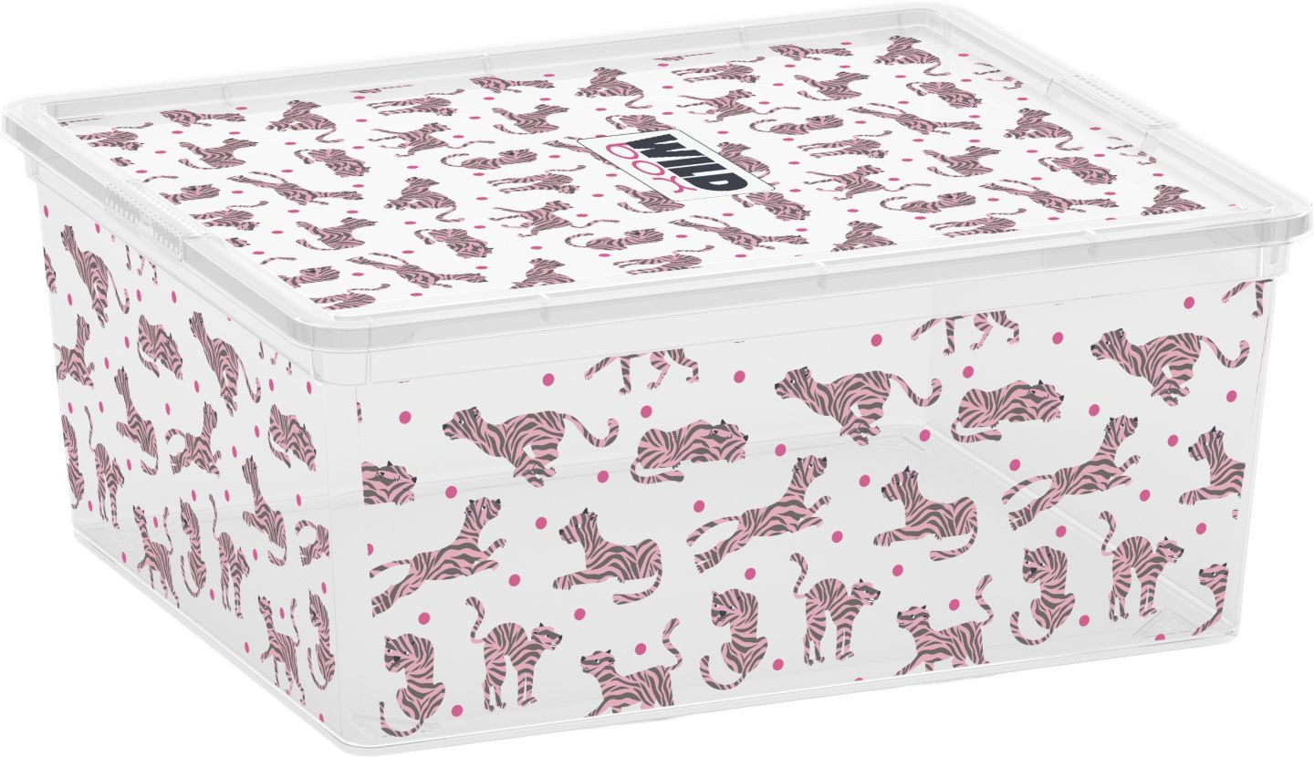 CURVER Aufbewahrungsbox »C-Box Style M«