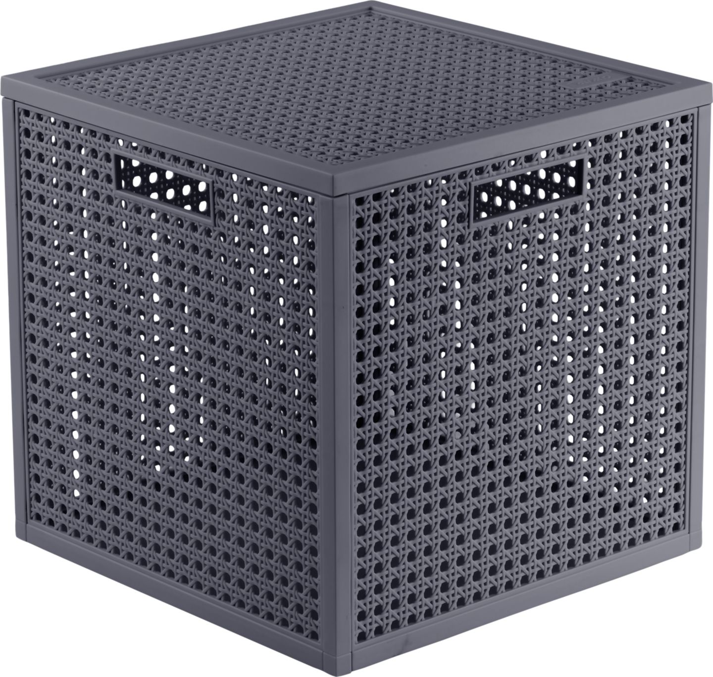CURVER Úložný box
19 l