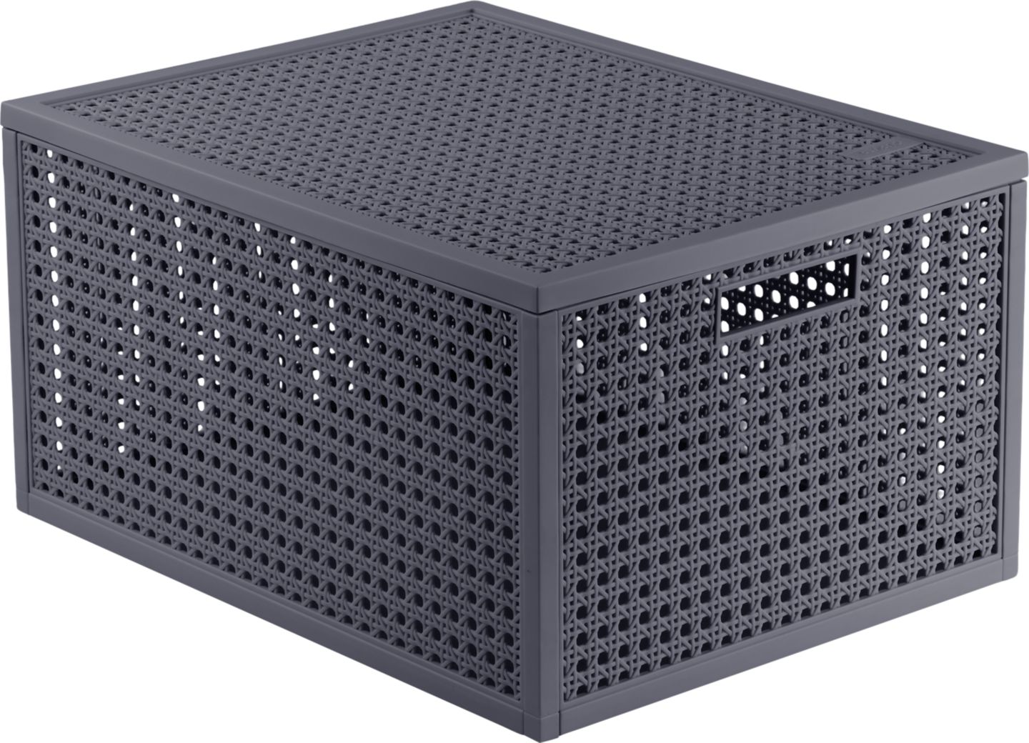 CURVER Úložný box
20 l