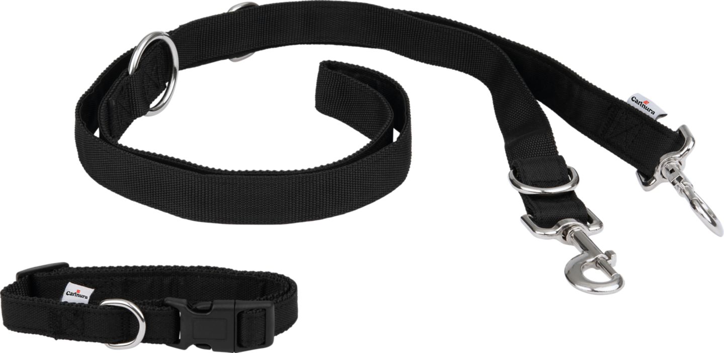 Изображение на CARINURA Нашийник и повод за куче