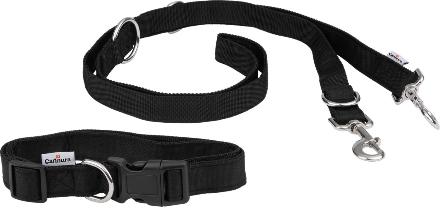 Изображение на 