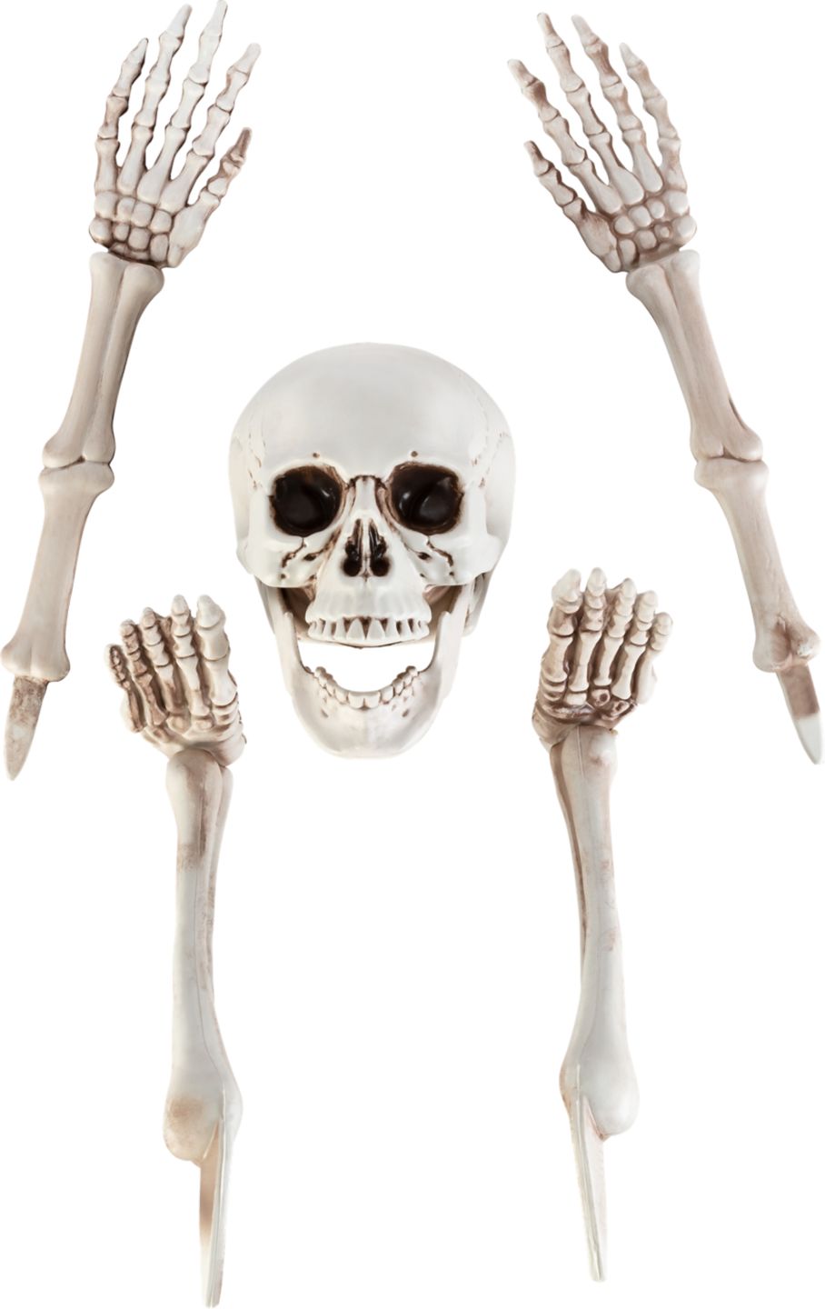 Halloweenská dekorace kostra