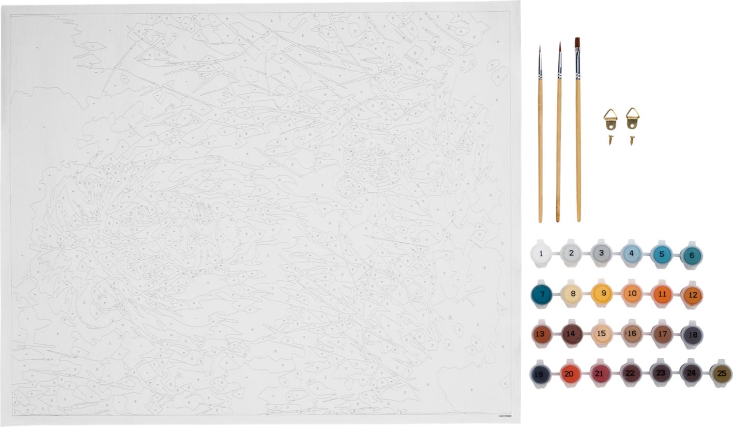 Talentus Maľovanie podľa čísiel