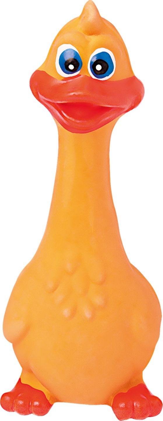 CARINURA Hračka pro psy