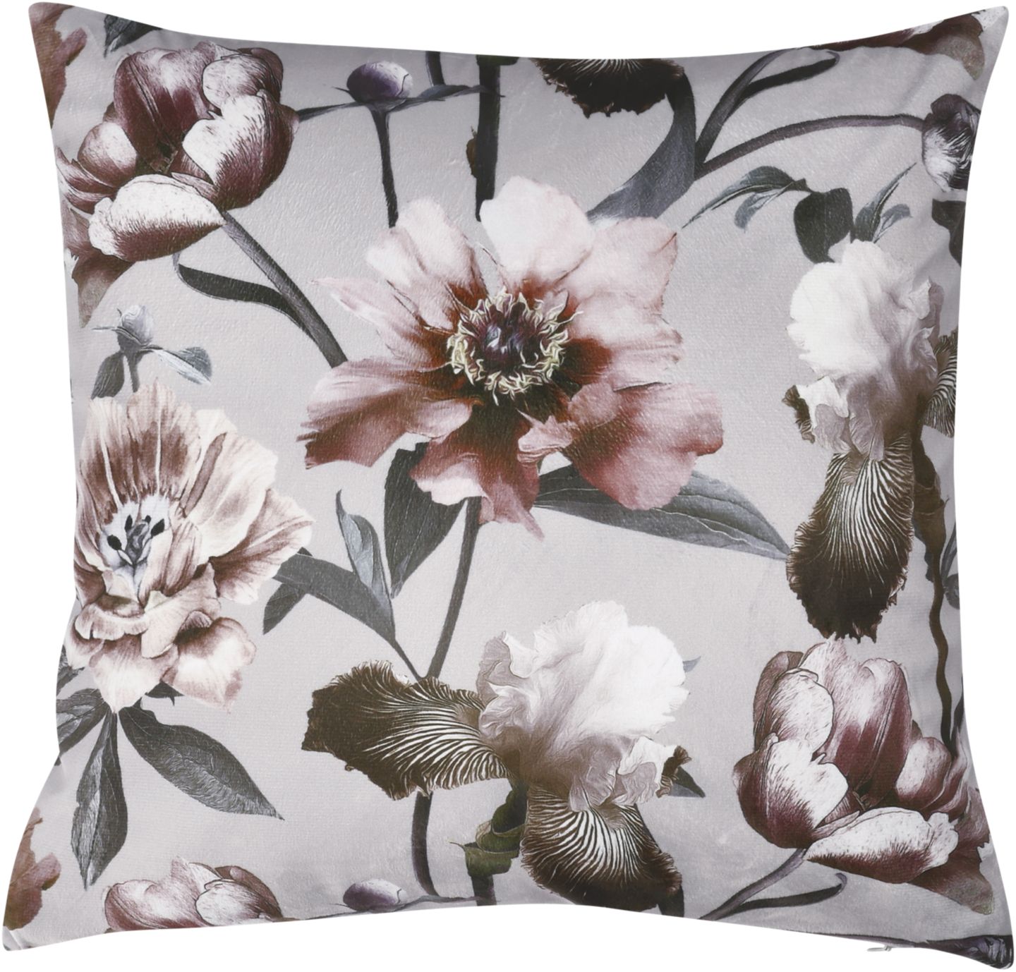 Изображение на 