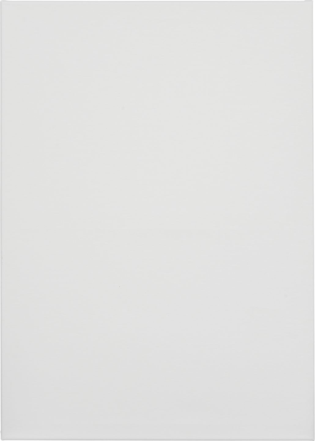 Talentus Malířské plátno
rozměry: 50 x 70 cm
