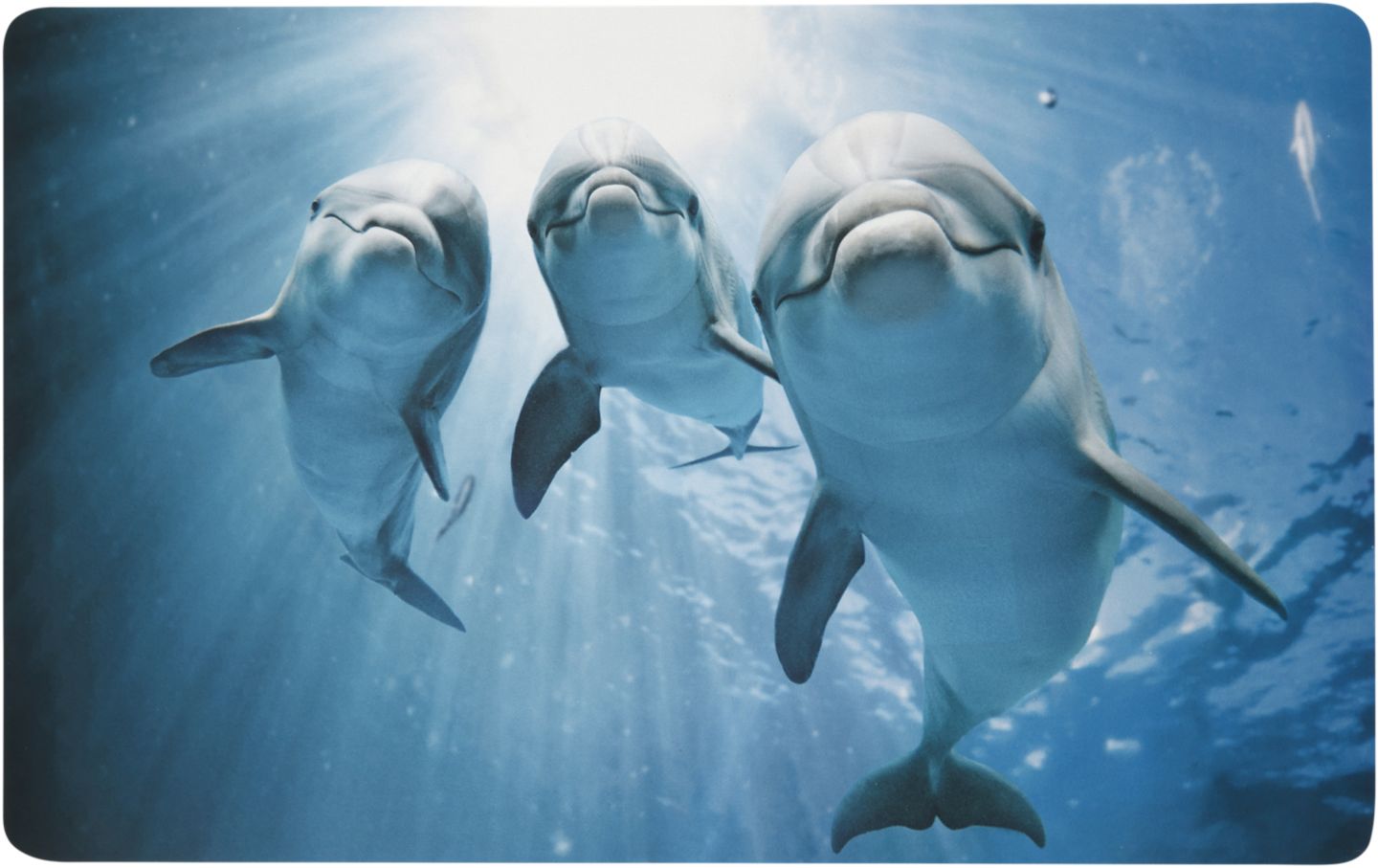 LIV&BO Koupelnová předložka
rozměry: 50 x 80 cm