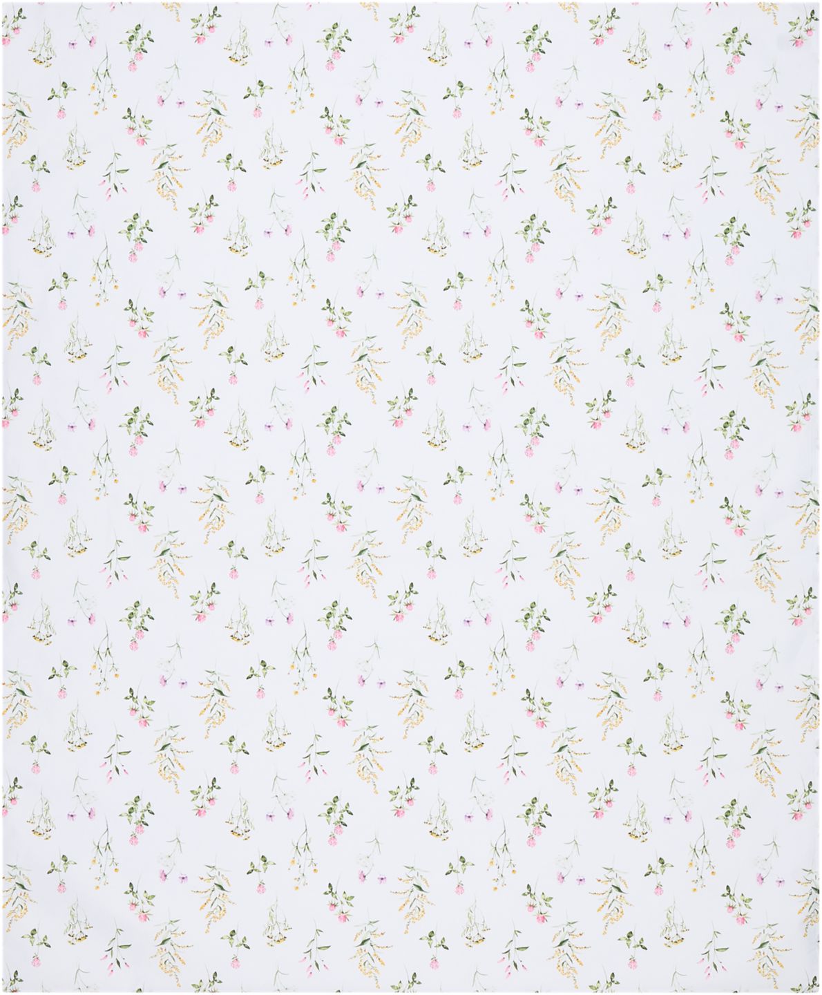 Изображение на 