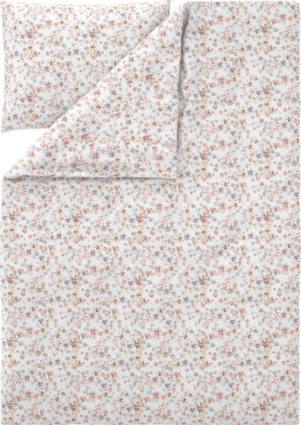 Изображение на 