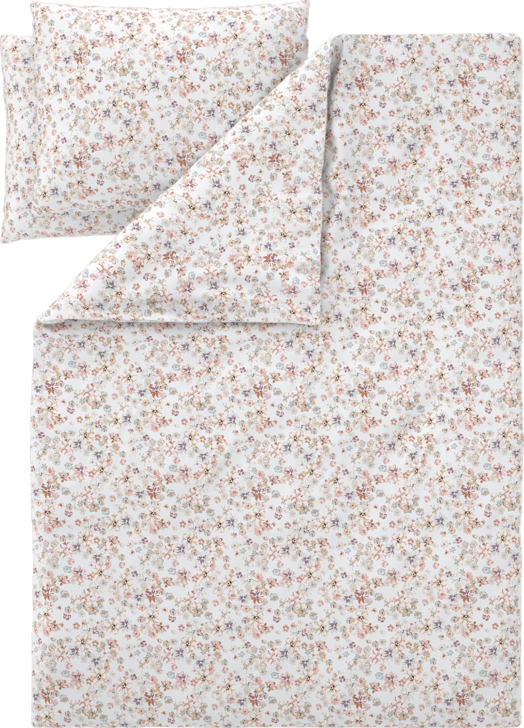 Изображение на 