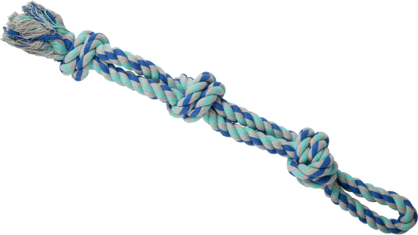 CARINURA Hračka pro psy