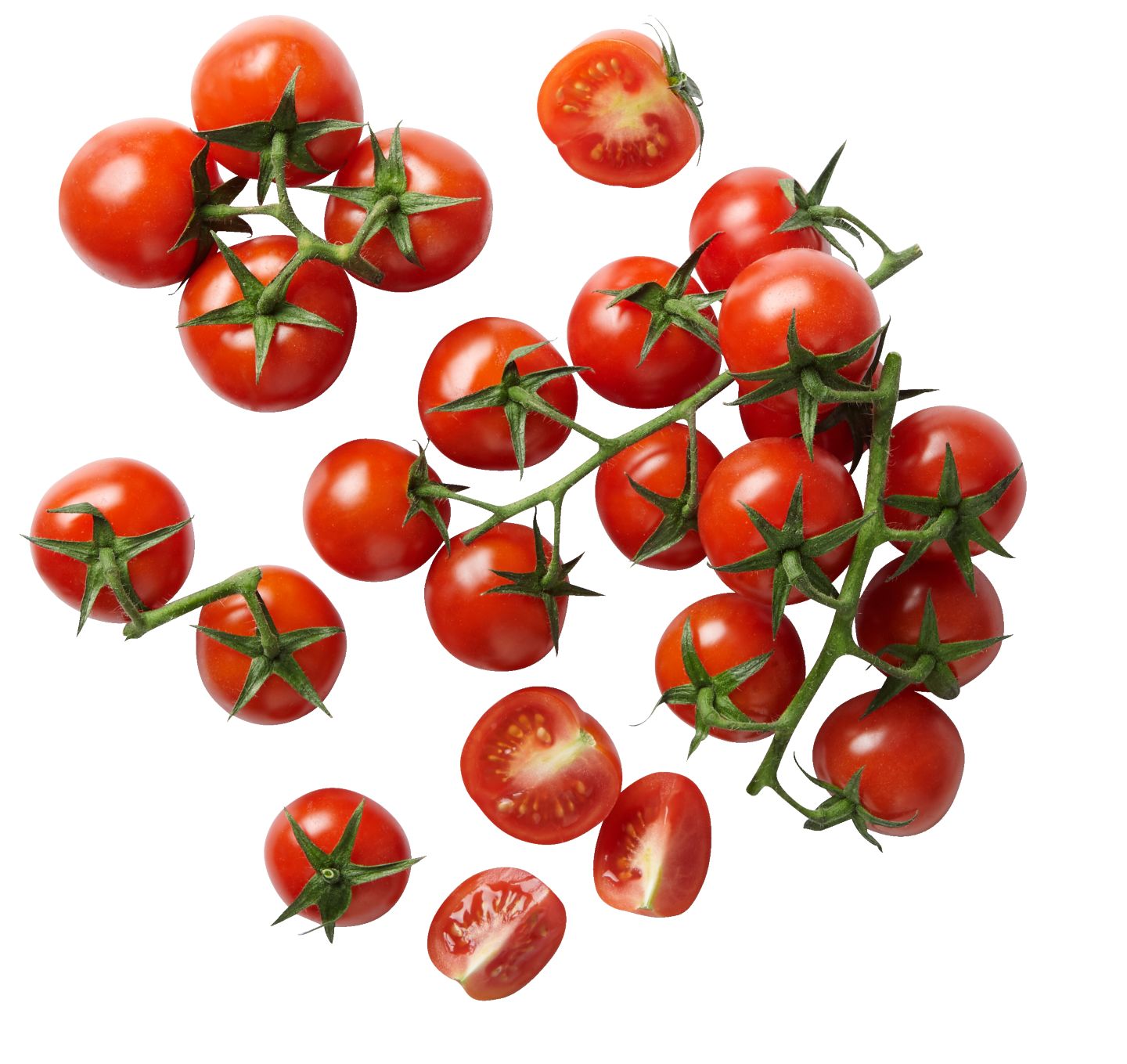 Rajčata koktejlová 