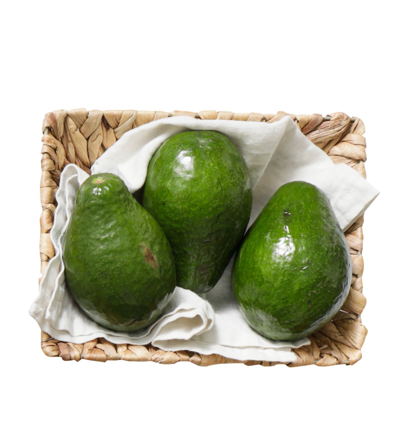 Avokádo velké - Semil 