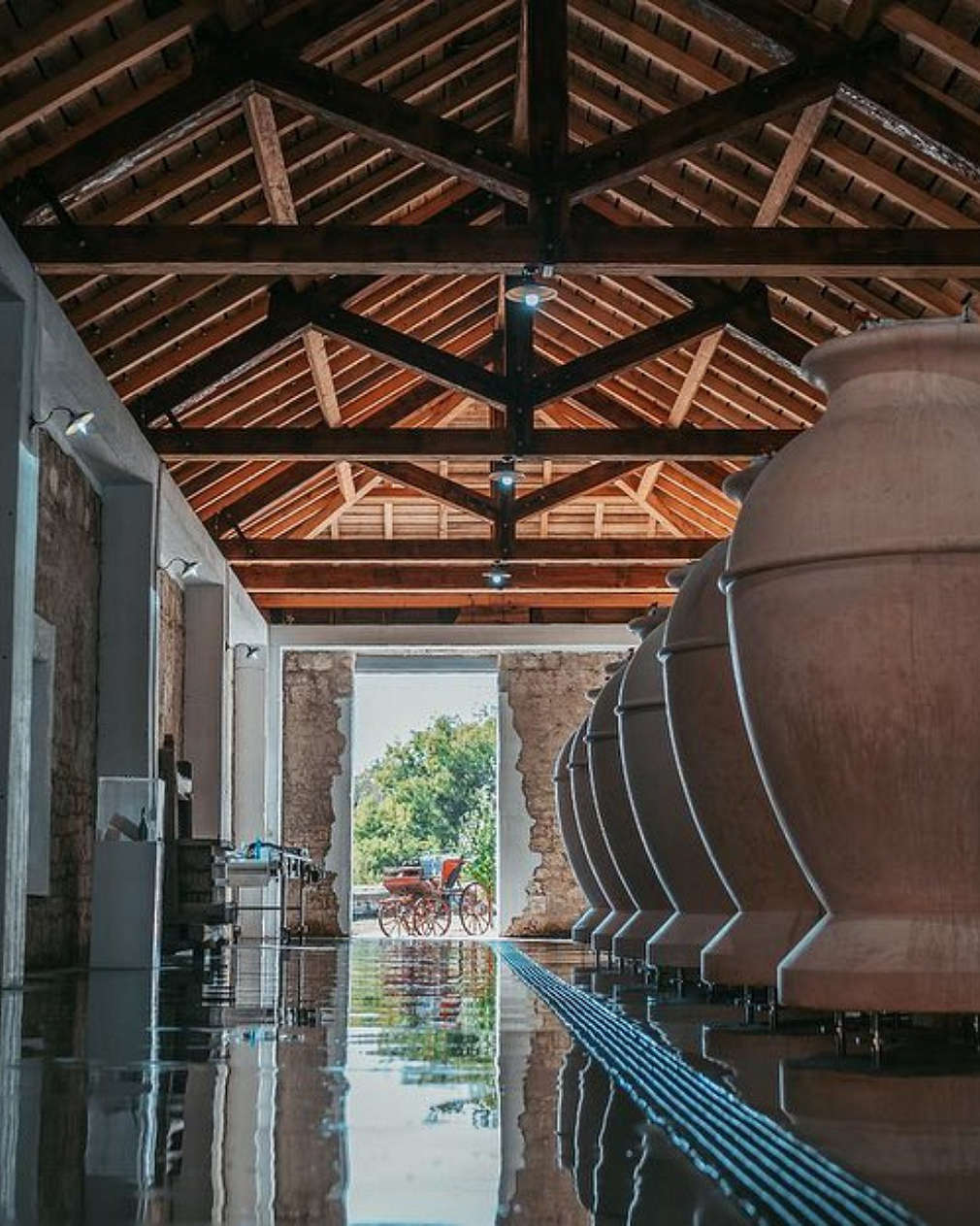 Tohani for Kaufland - 4