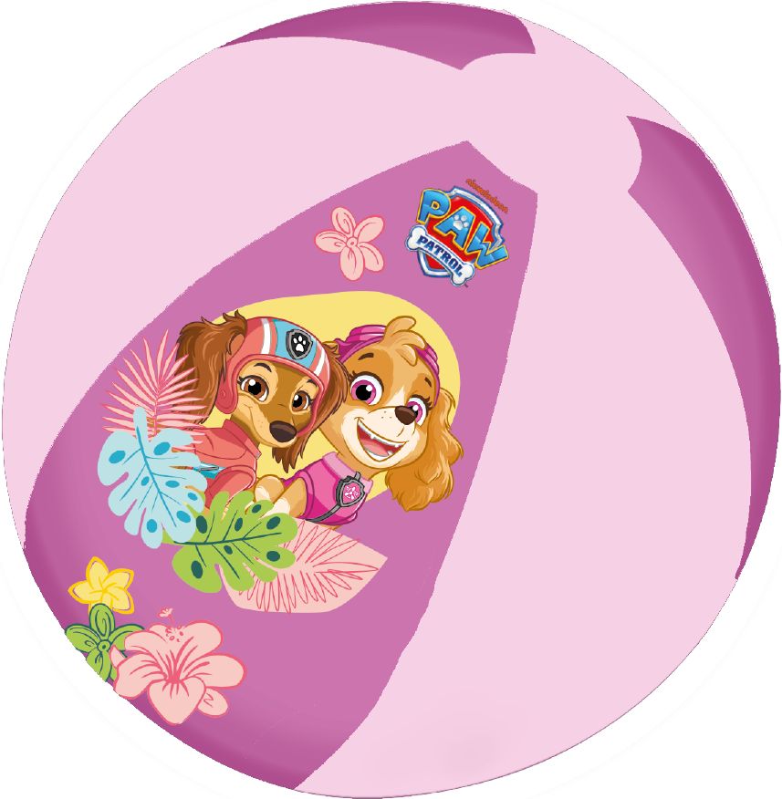 Wasserball »Paw Patrol«