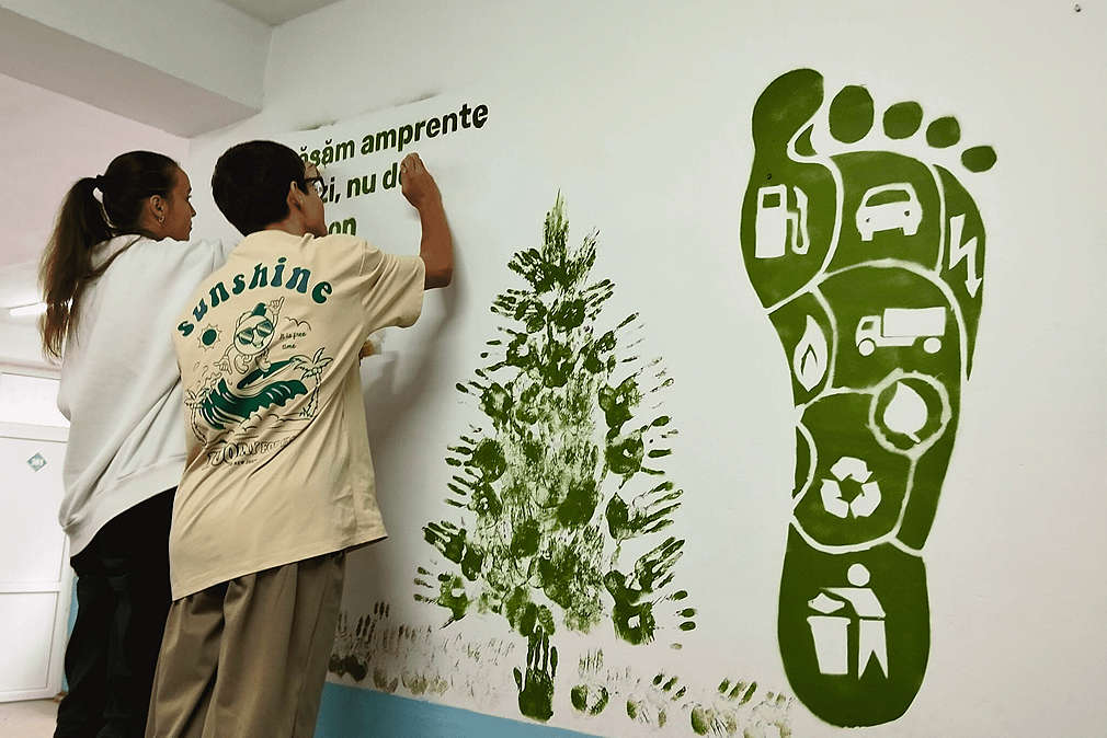 foto prototipuri finale - 1