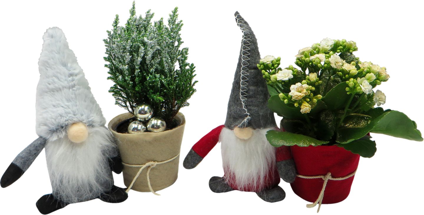 Skřítek s rostlinou 