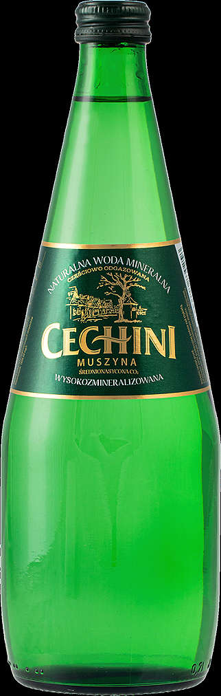 Cechini Muszyna Woda mineralna