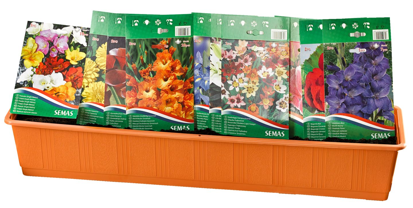 Изображение на Агросел Луковици за цветя