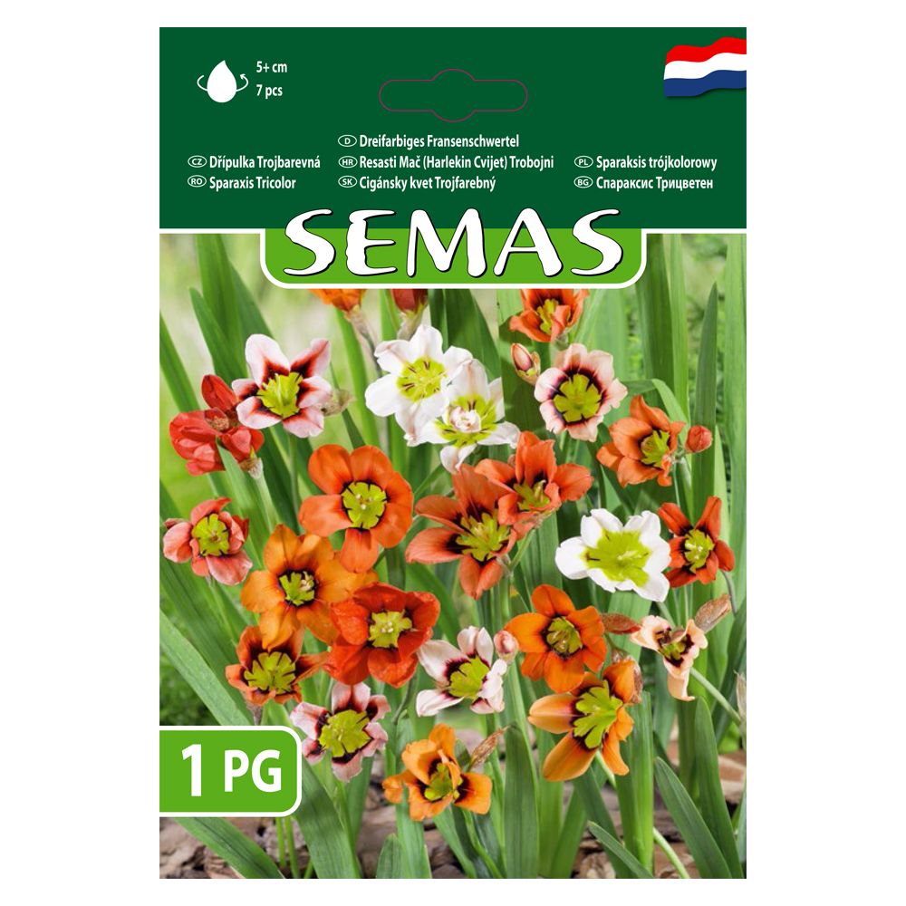 Изображение на Агросел Луковици за цветя